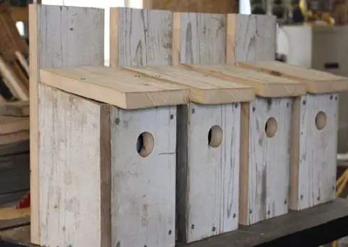 Bluebird Birdhouse