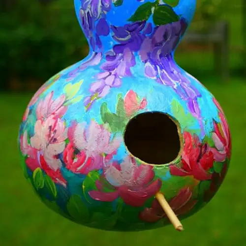 DIY Birdhouse Gourd