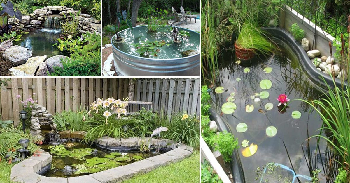 Pondlandscaping Backyard Ideas With Rockss Collection