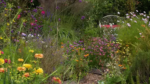 Make a Patio of an Urban Oasis Wildlife Garden