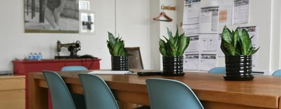 15 Best Office Desk Plants That Don't Need Space | Balcony ...