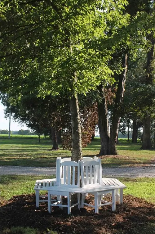 DIY Tree Projects For The Backyard3