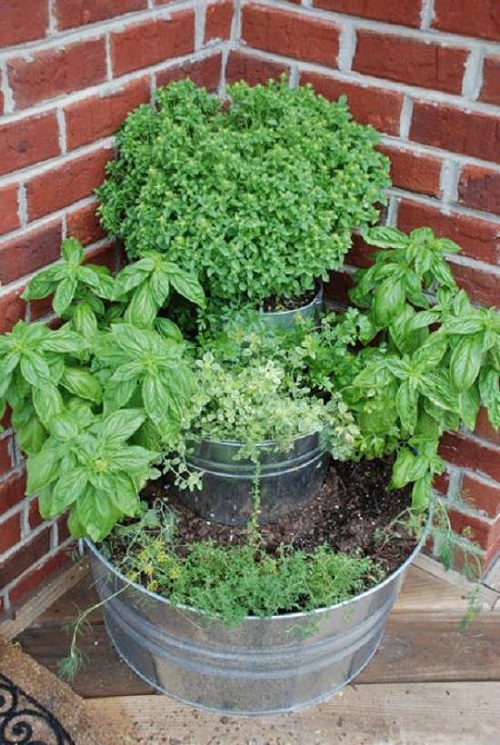 Backdoor Tiered Herb Garden