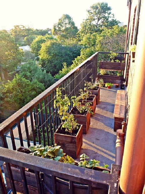 Balcony Garden with Vertical Planters