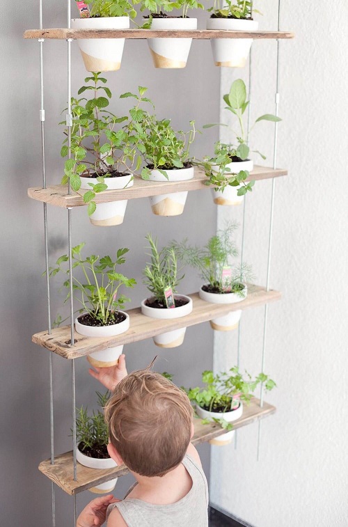Herb Wall Kitchen Garden