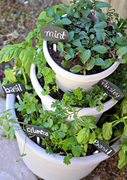 Stacked Herb Garden