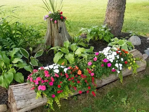 DIY Tree Projects For Make a Mini Garden