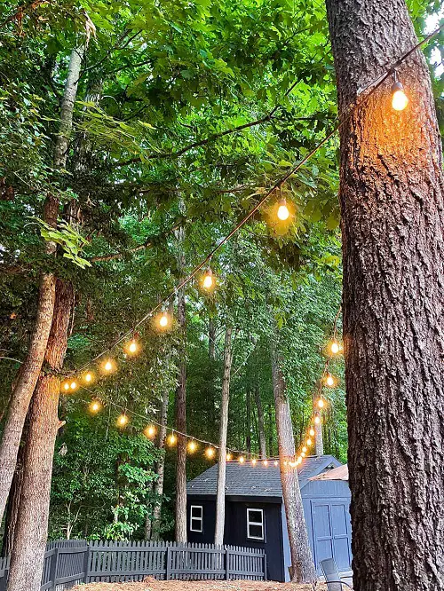 DIY Tree Projects For The Hang Some String Lights