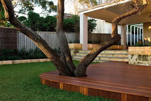 DIY Tree Projects For The Make a Patio