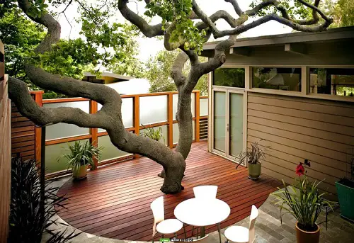 DIY Tree Projects For The Backyard Sitting Space