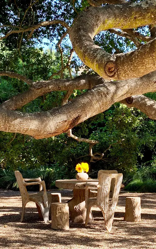 DIY Tree Projects For The Make a Sitout