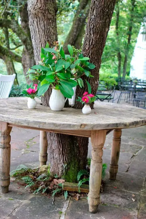 DIY Tree Projects For The Add A Table to Display Plants