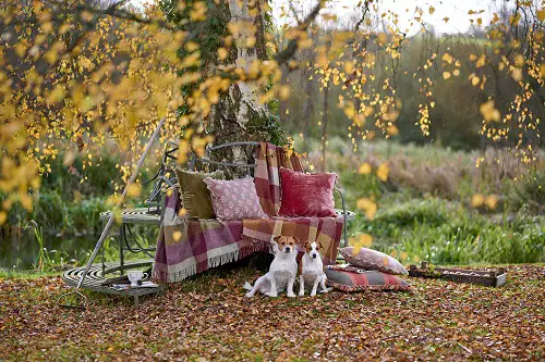 DIY Tree Projects For The A Relaxing Backyard