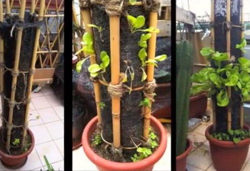 Small Vertical Planter