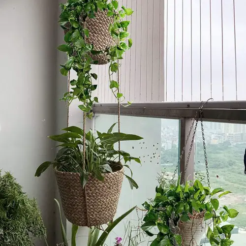 Double Potting for Life-Saving Techniques to Prevent Water From Drips From Balconies for Gardeners 