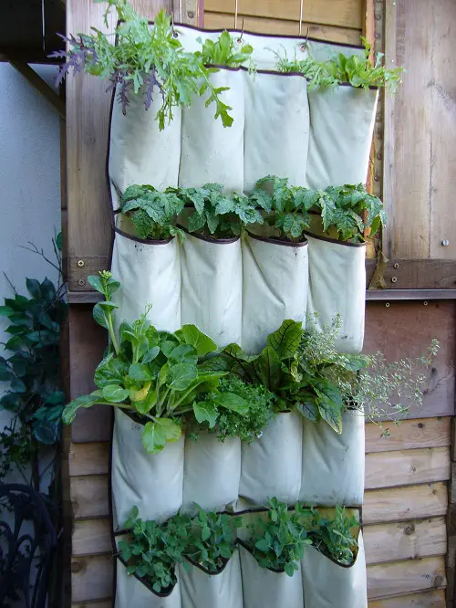Hanging Shoe Storage Bag Vertical Planter