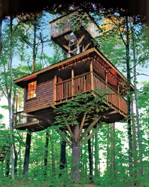 DIY Tree Projects For The Over-the-Top Tree House