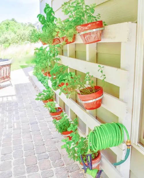 best Pallet Garden Planter