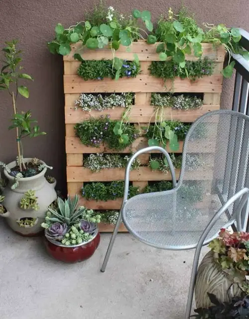 Pallet Vegetable Garden