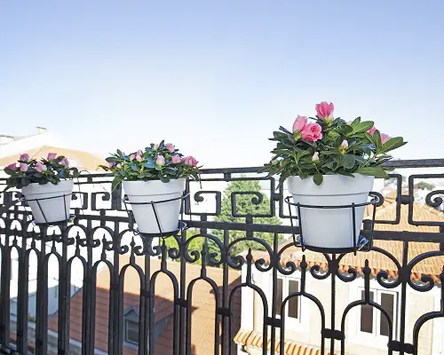 Put Saucers Under the Pots