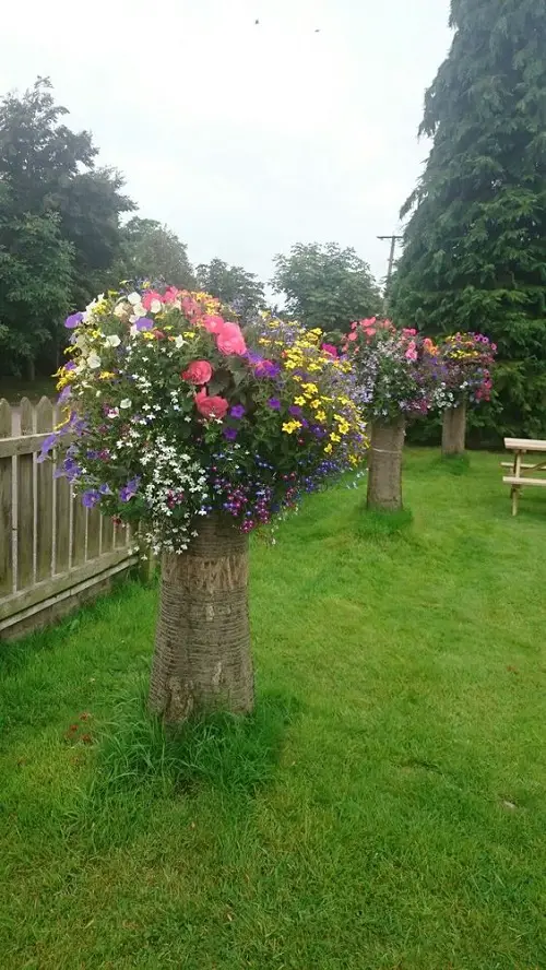 DIY Tree Projects For The  Tall Tree Stumps as Planters