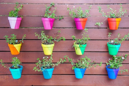Terracotta Pot Vertical Fence Garden