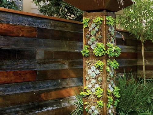 Vertical Succulent Column