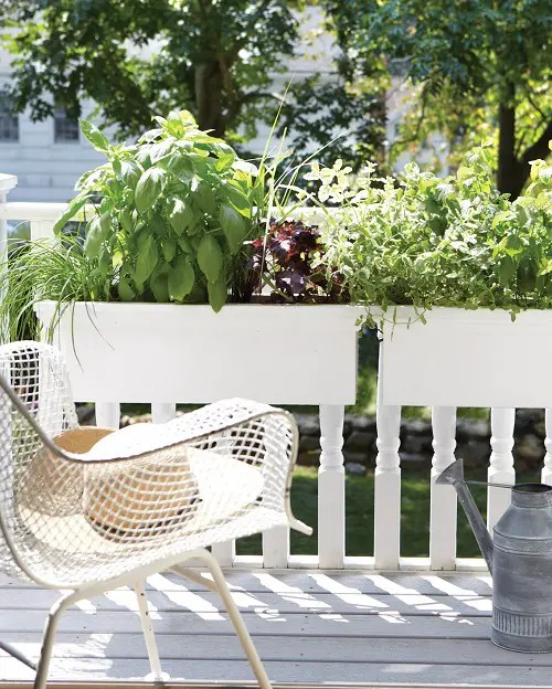 Vertical Window Box Garden