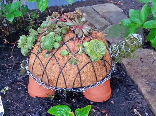  Trending DIY Garden Ideas To Follow This Year