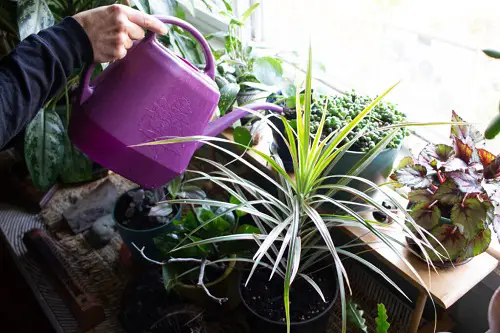 best Life-Saving Ways For Balcony Gardeners To Stop Water Dripping Off The Balconies