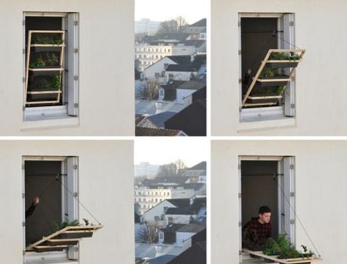 Window Shutter Micro Urban Garden