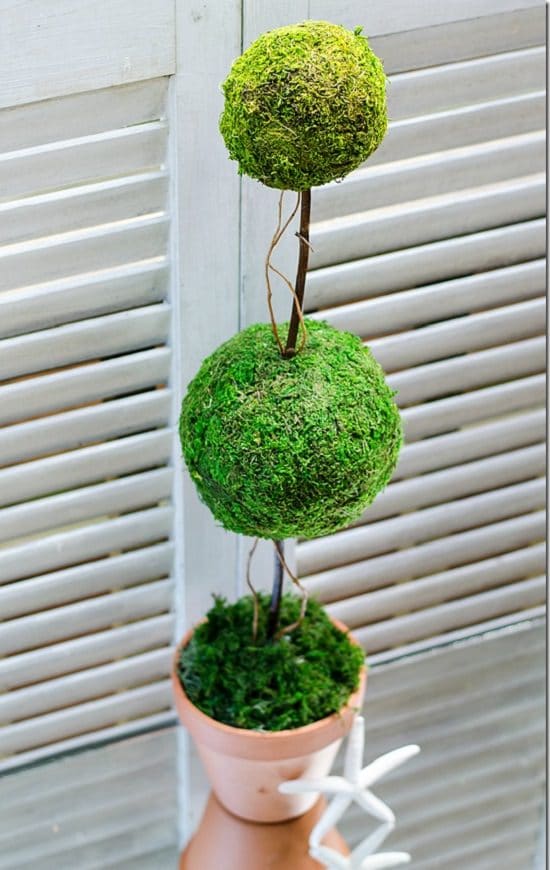 topiary diy moss balls ball paint garden balcony heavy balconygardenweb
