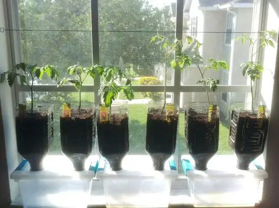 Kitchen Herb Garden Ideas