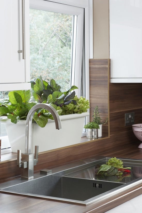 20 Indoor Kitchen Garden Ideas | Herb Garden in the Kitchen