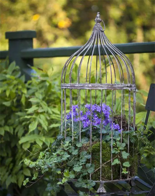 Birdcage Planter