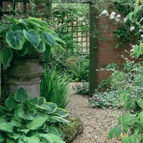 Amazing Vinegar Uses in Gardens Clean Mirrors in Greenhouse and Garden