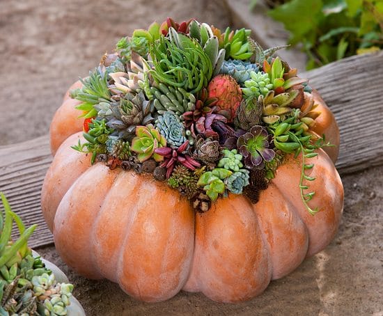 DIY garden decor ideas