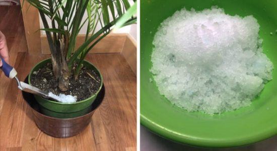 Bizarre Diaper Hacks for Gardeners