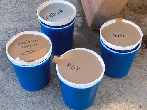 DIY Mini Worm Compost Bins