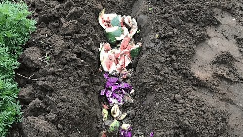 DIY Trench Composting Bin Ideas 21