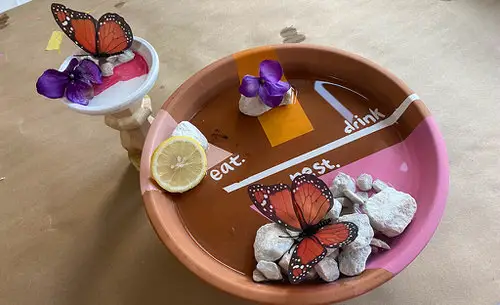 Diy Terracotta Butterfly Feeder