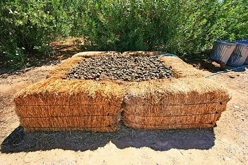 Wine Barrel Compost Bin