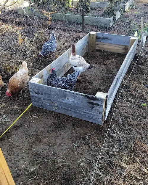 DIY Old Fence Board Ideas in garden bed 