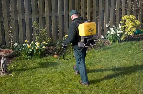 Effective Homemade Lawn Fertilizers That Are Safe From Hazardous Chemicals