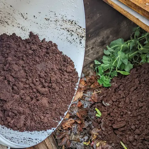 Homemade Lawn Fertilizers That Are Safe From Hazardous Chemicals