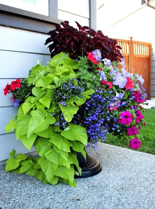 DIY Porch Planter Ideas 40