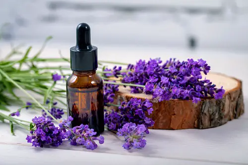 Lavender Uses