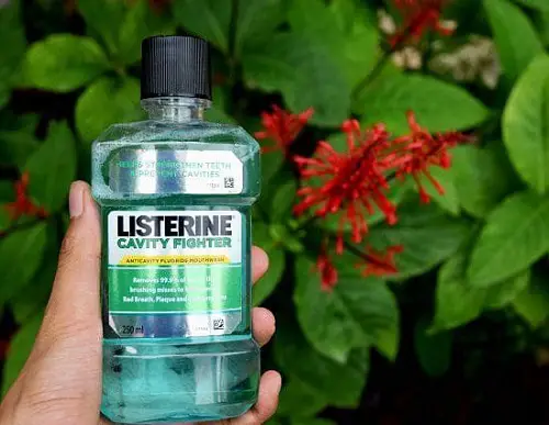 Effective Homemade Lawn Fertilizers That Are Safe From Hazardous 