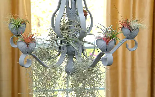 Diy Old Chandelier Planter