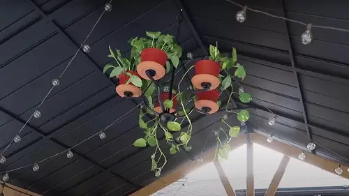 Diy Plant Chandelier with Saucers